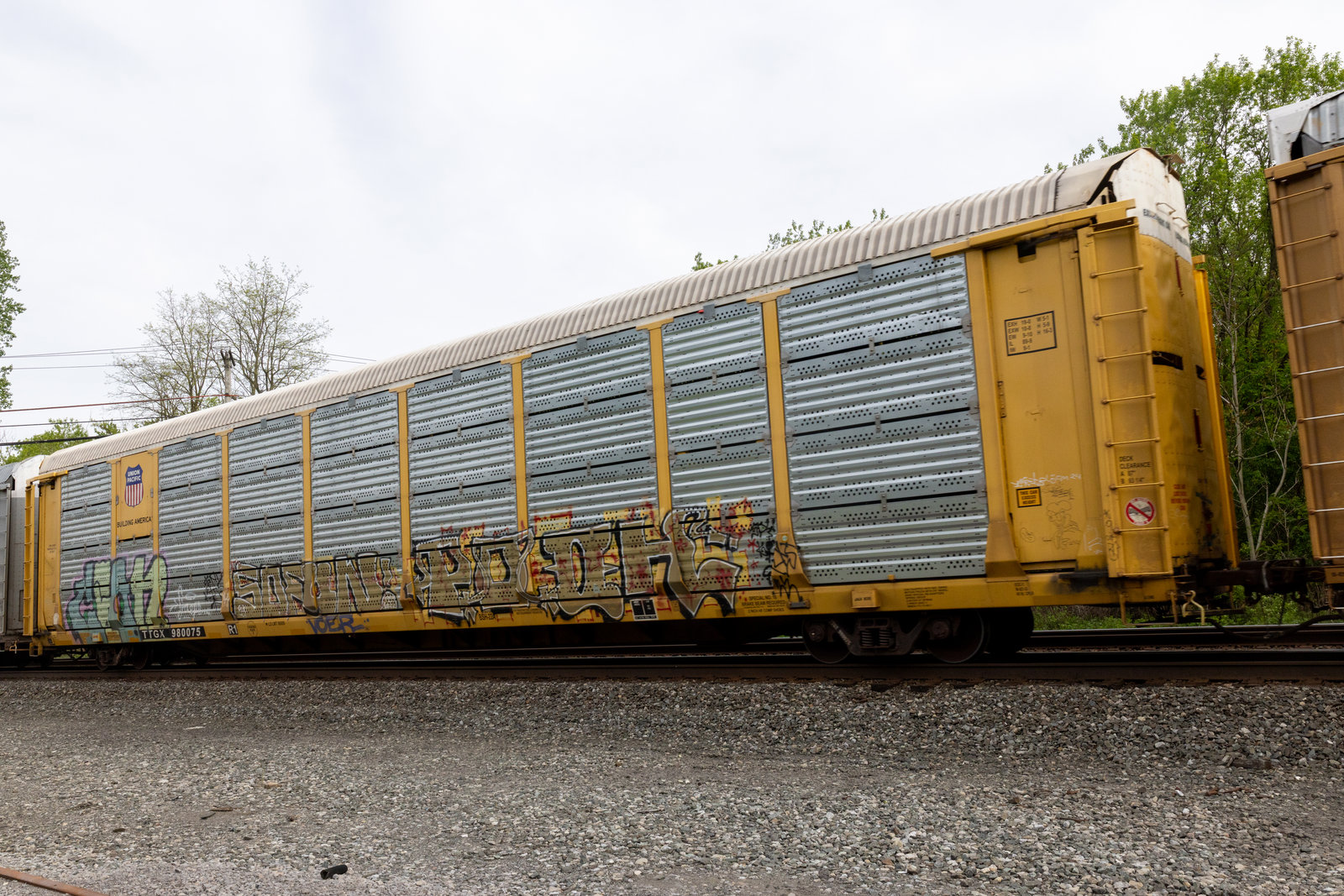 TTGX 980075
