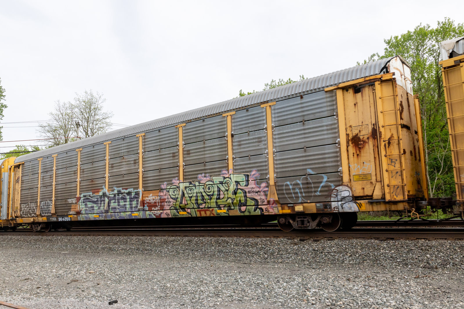 TTGX 964260