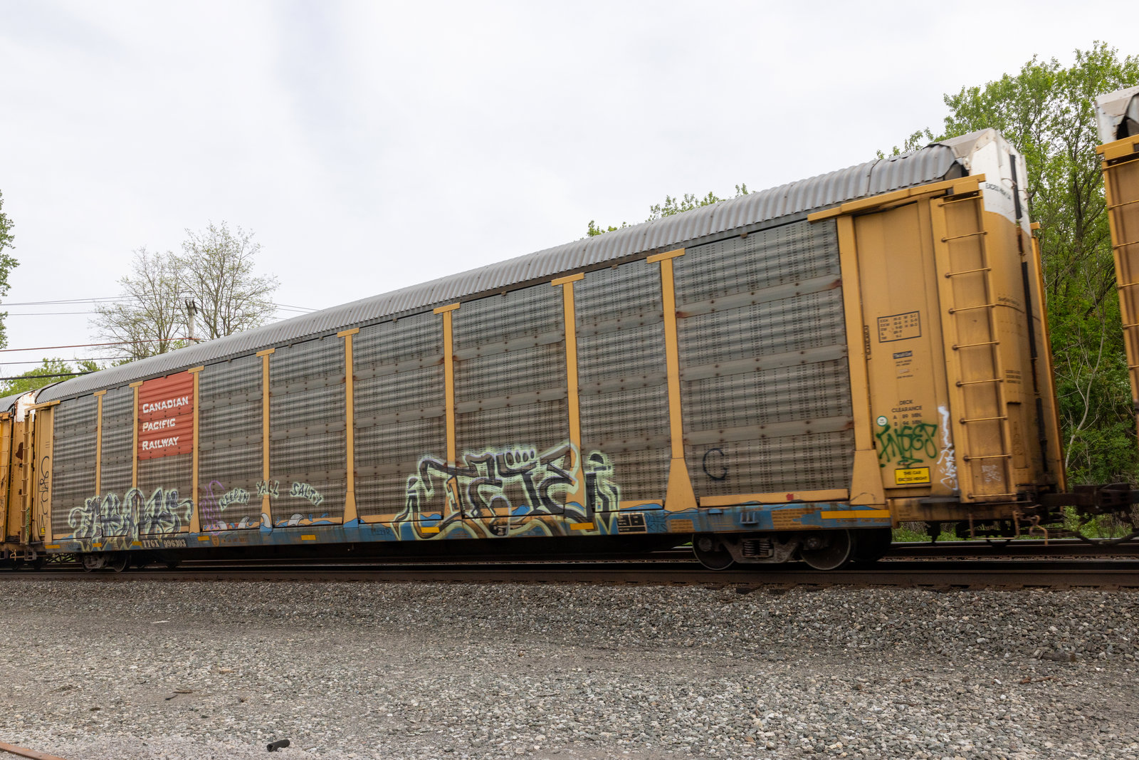 TTGX 996303
