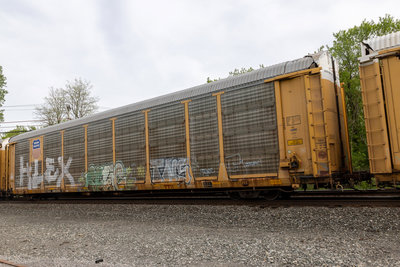 TTGX 995296