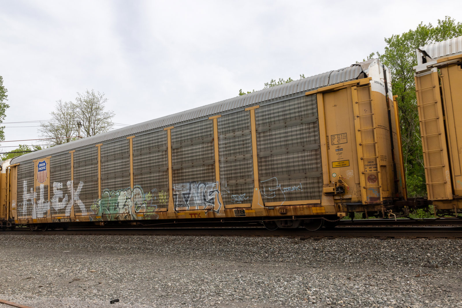 TTGX 995296