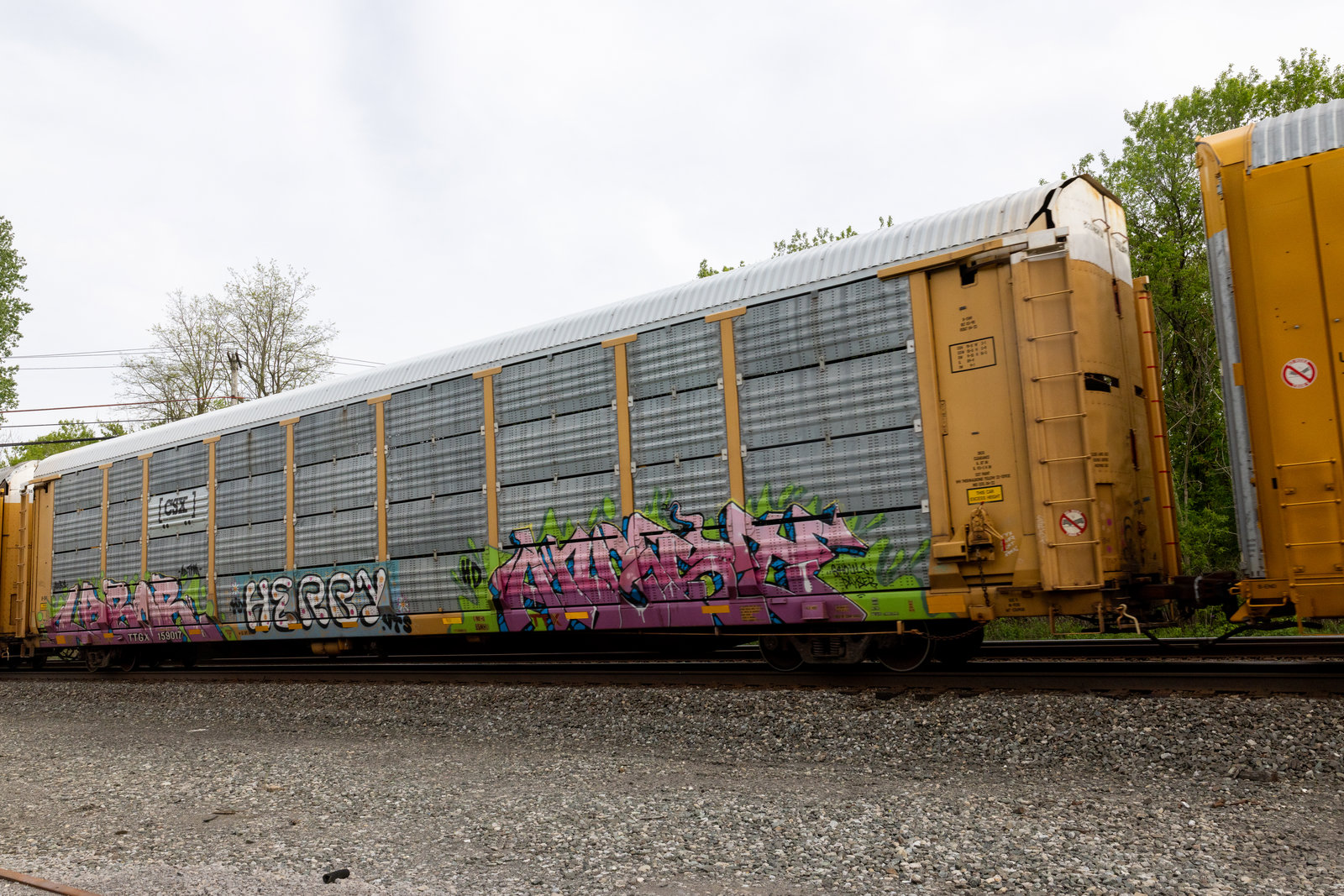 TTGX 159017