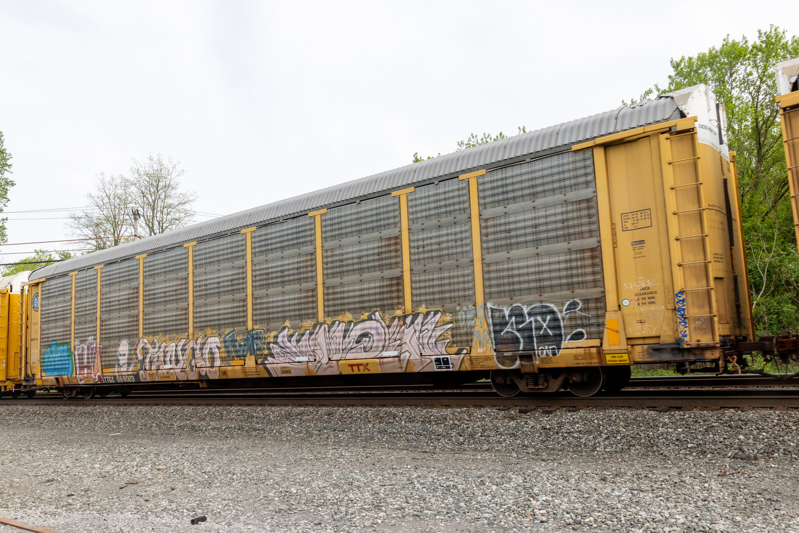 TTGX 989063