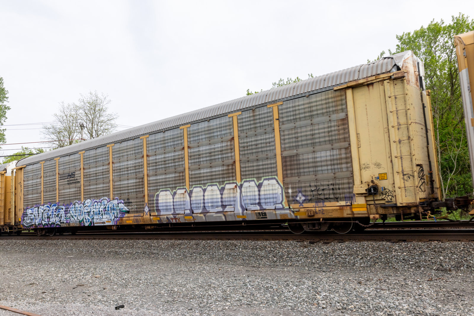 TTGX 996415
