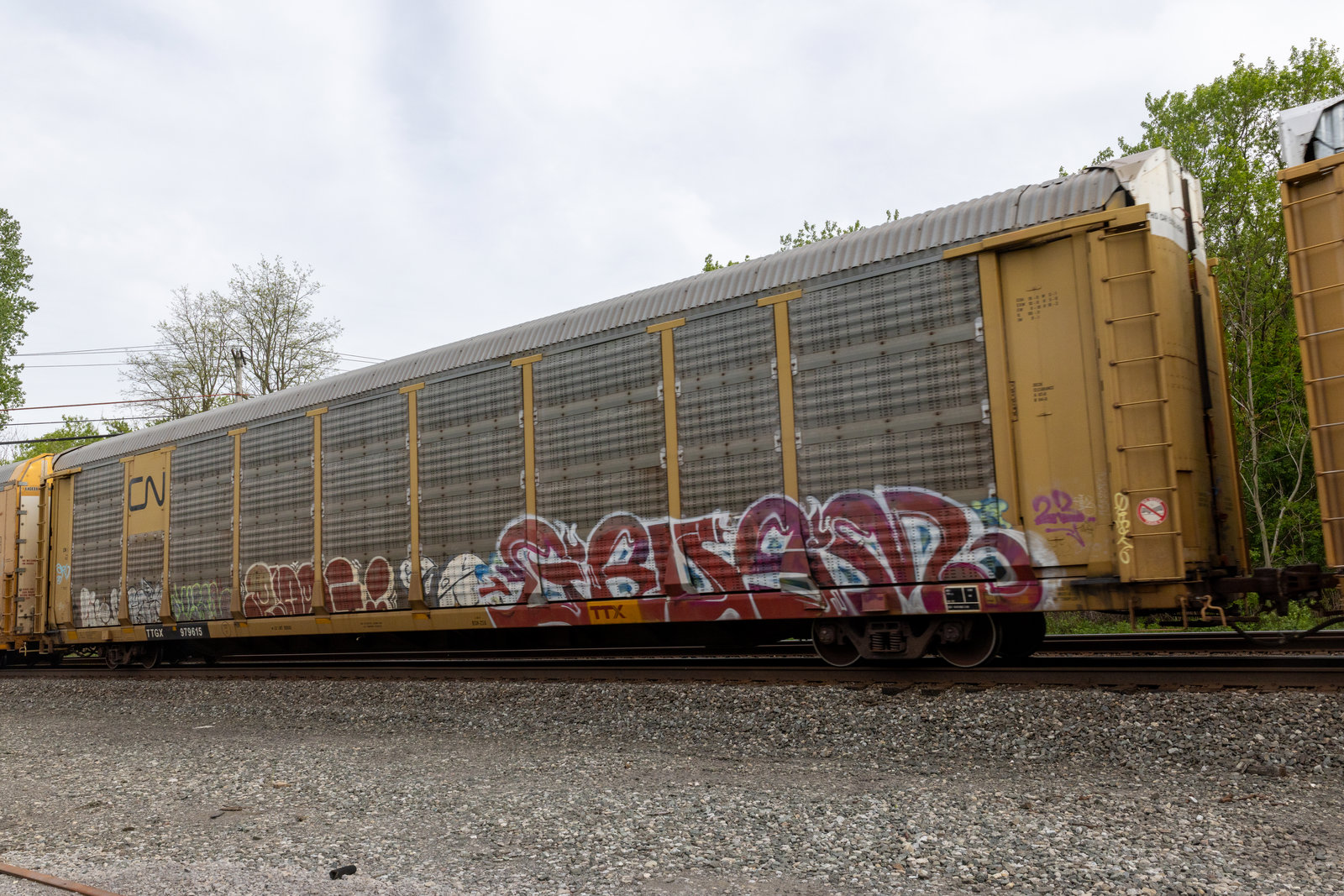 TTGX 979615