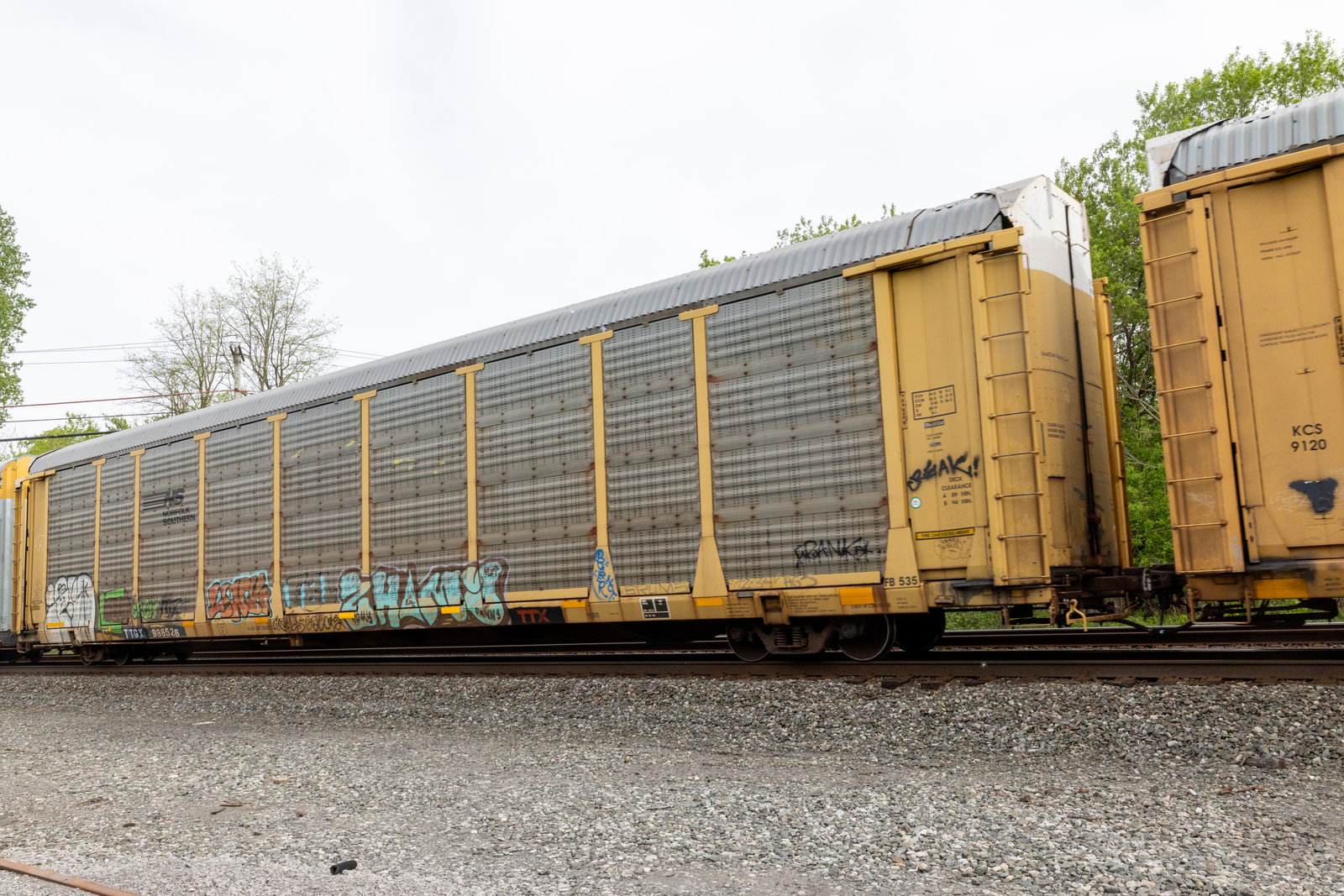 TTGX 986526