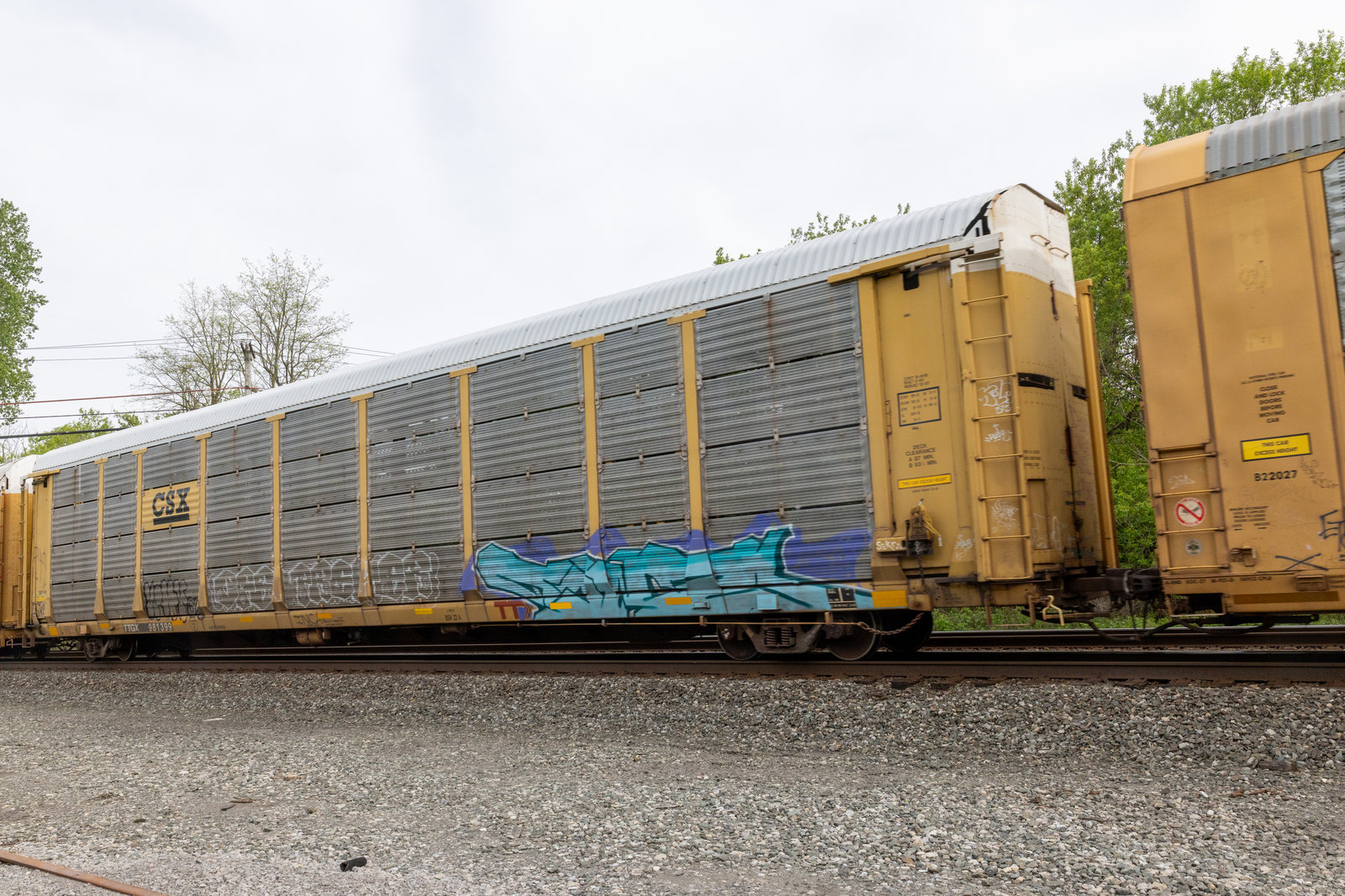 TTGX 981399