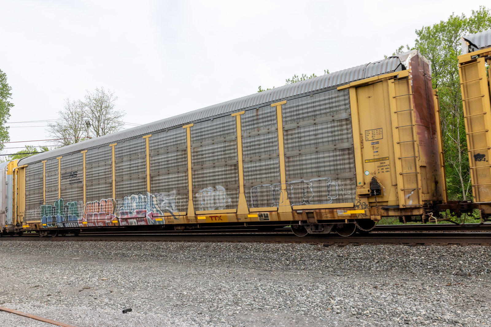 TTGX 985531
