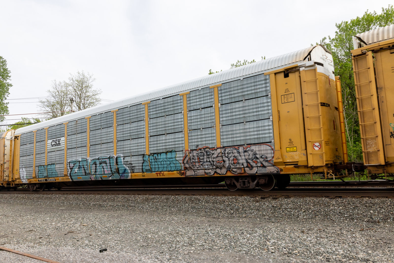 TTGX 941309