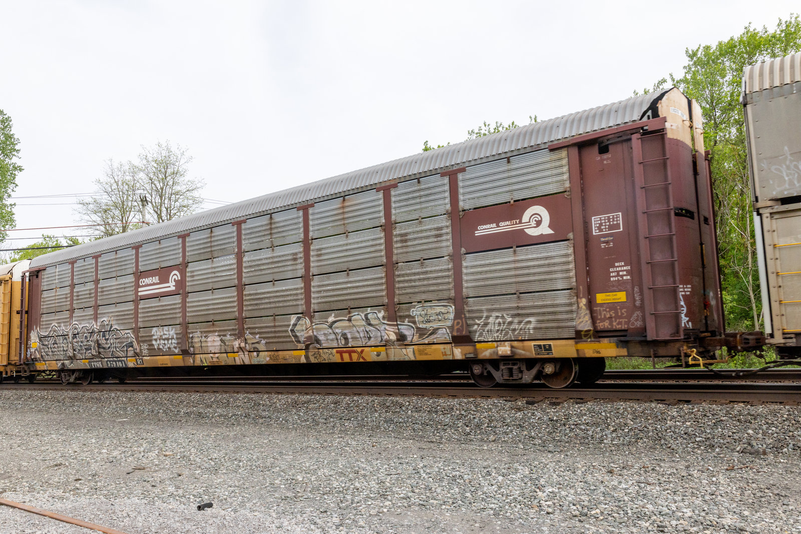 TTGX 979161