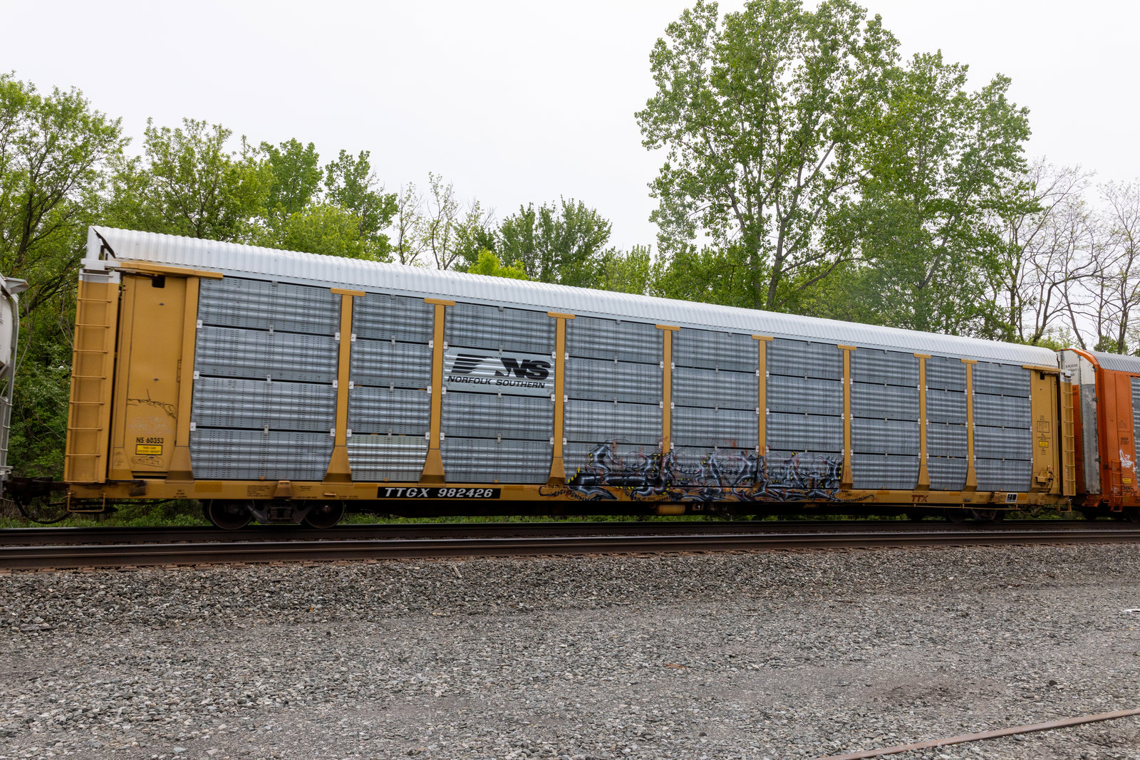 TTGX 982426