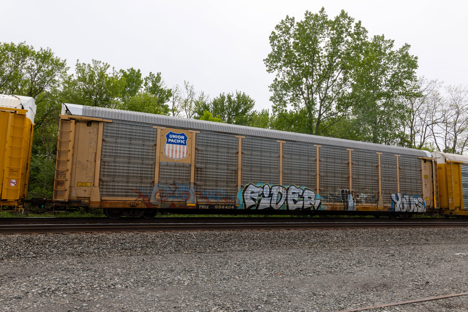 TTGX 994404