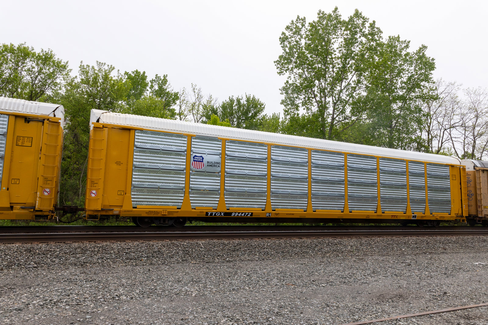 TTGX 994472