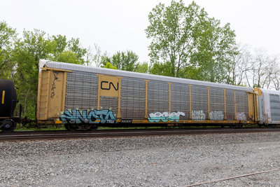 TTGX 982851
