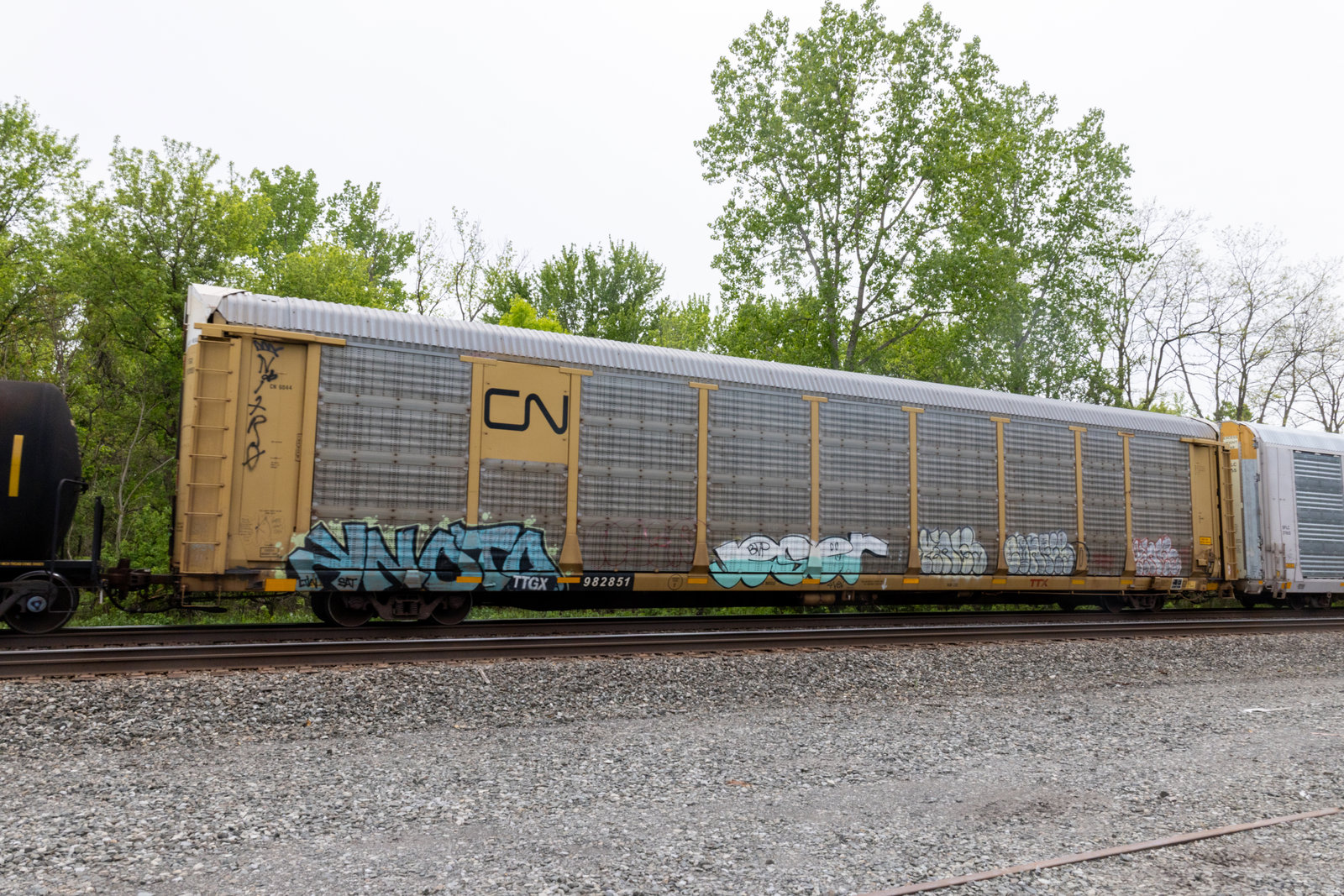 TTGX 982851