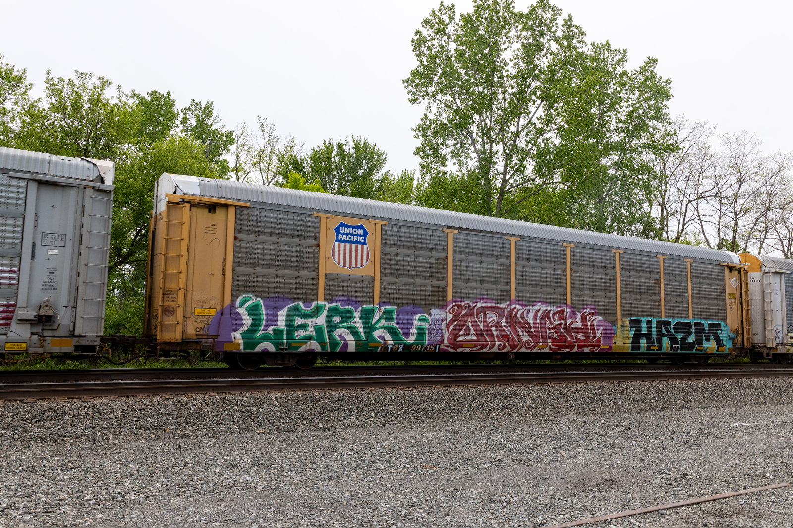 TTGX 997151
