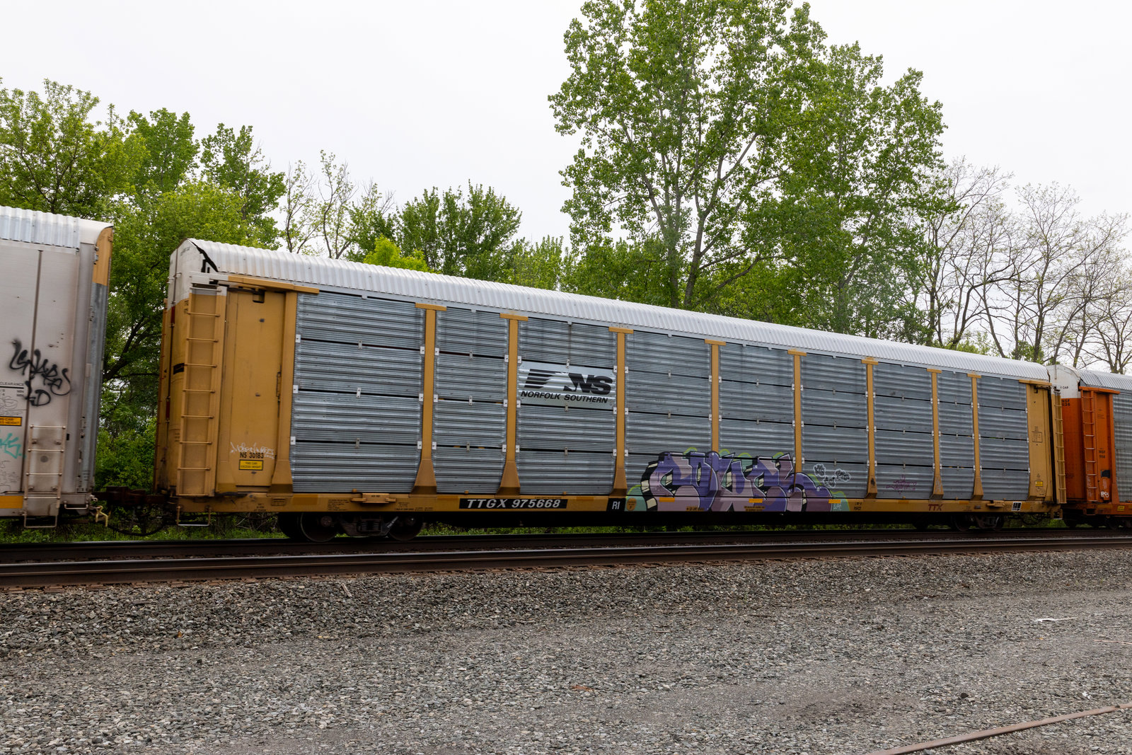 TTGX 975668