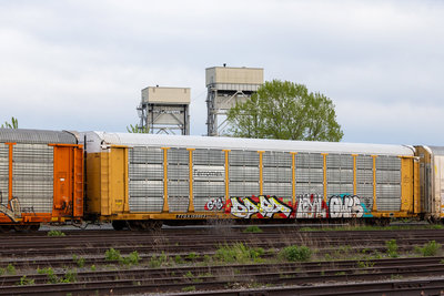 TTGX 159953
