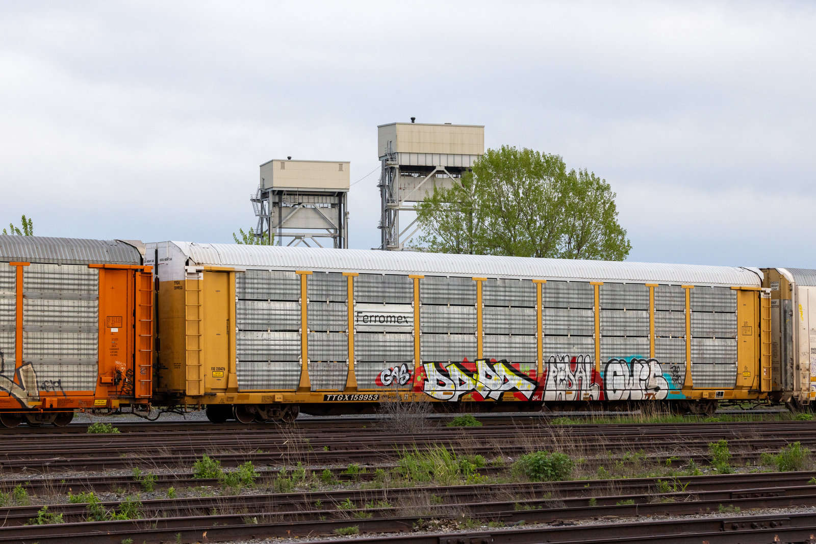 TTGX 159953