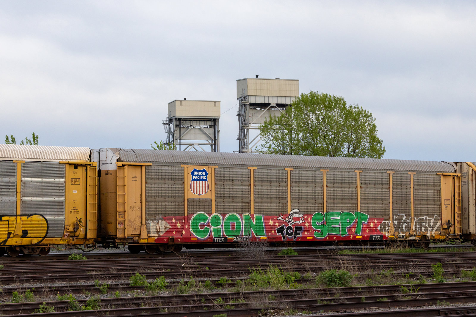 TTGX 988467