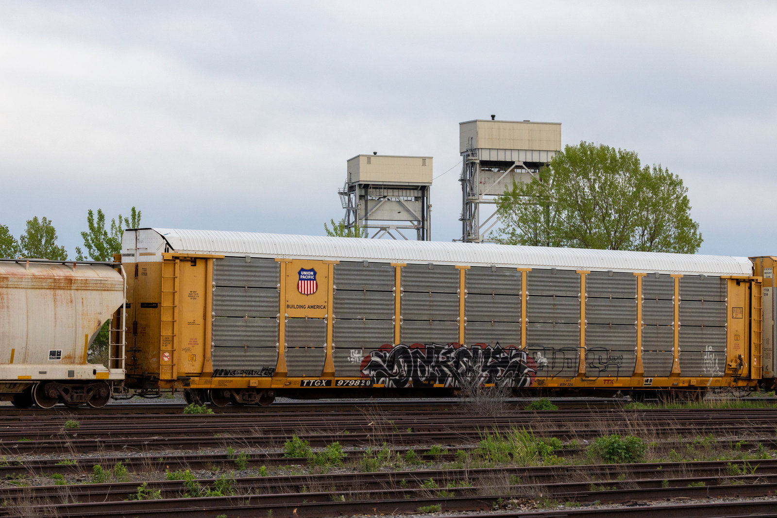 TTGX 979820
