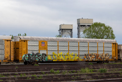 TTGX 974484