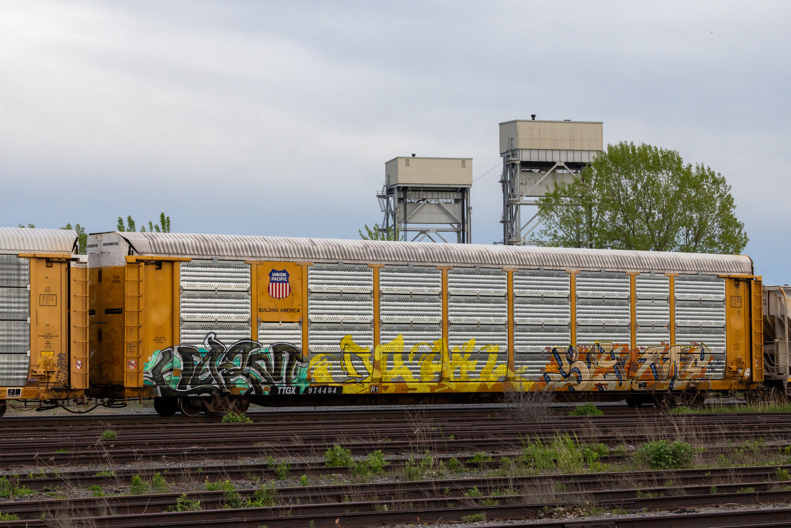 TTGX 974484