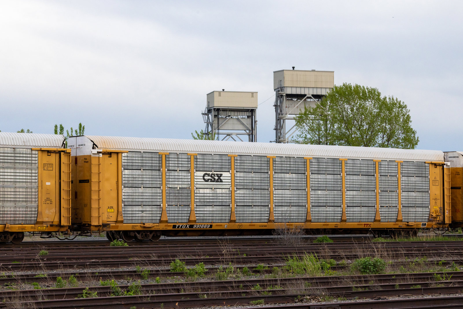 TTGX 991669
