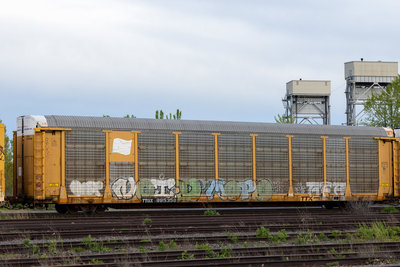 TTGX 995358
