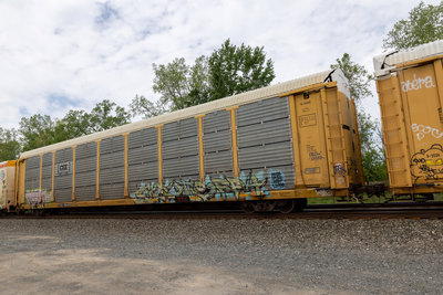 TTGX 994010