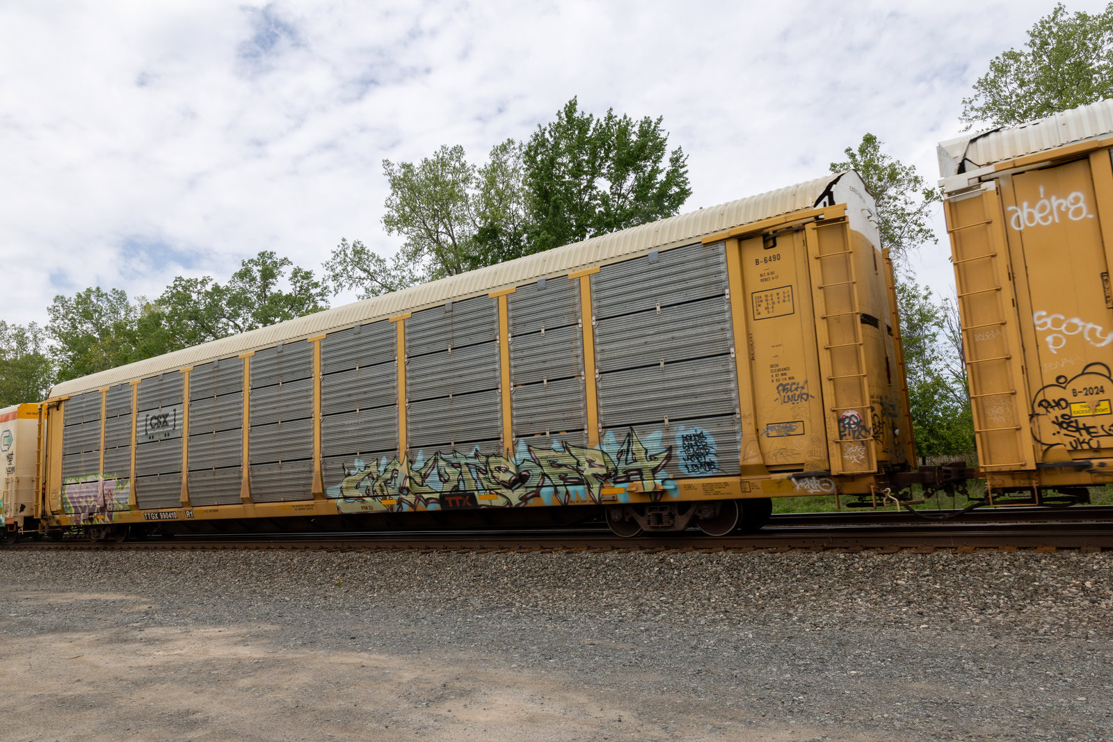 TTGX 994010