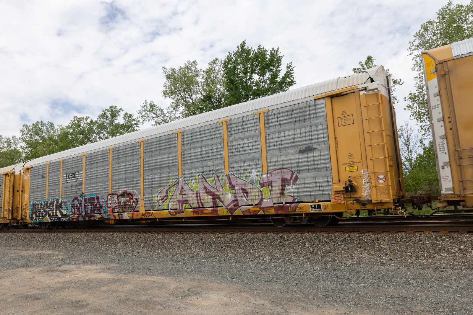 TTGX 994217