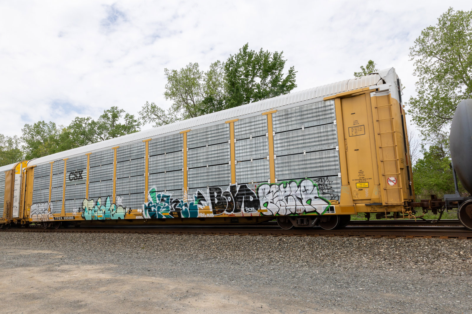 TTGX 995089
