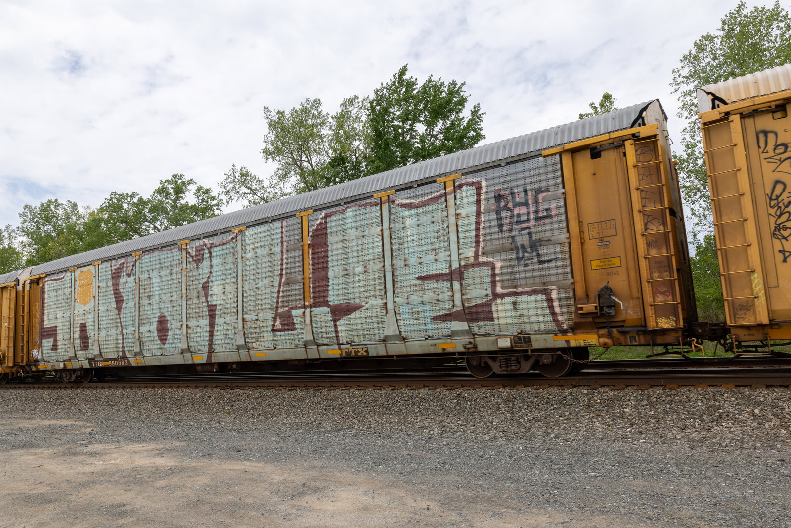 TTGX 980563