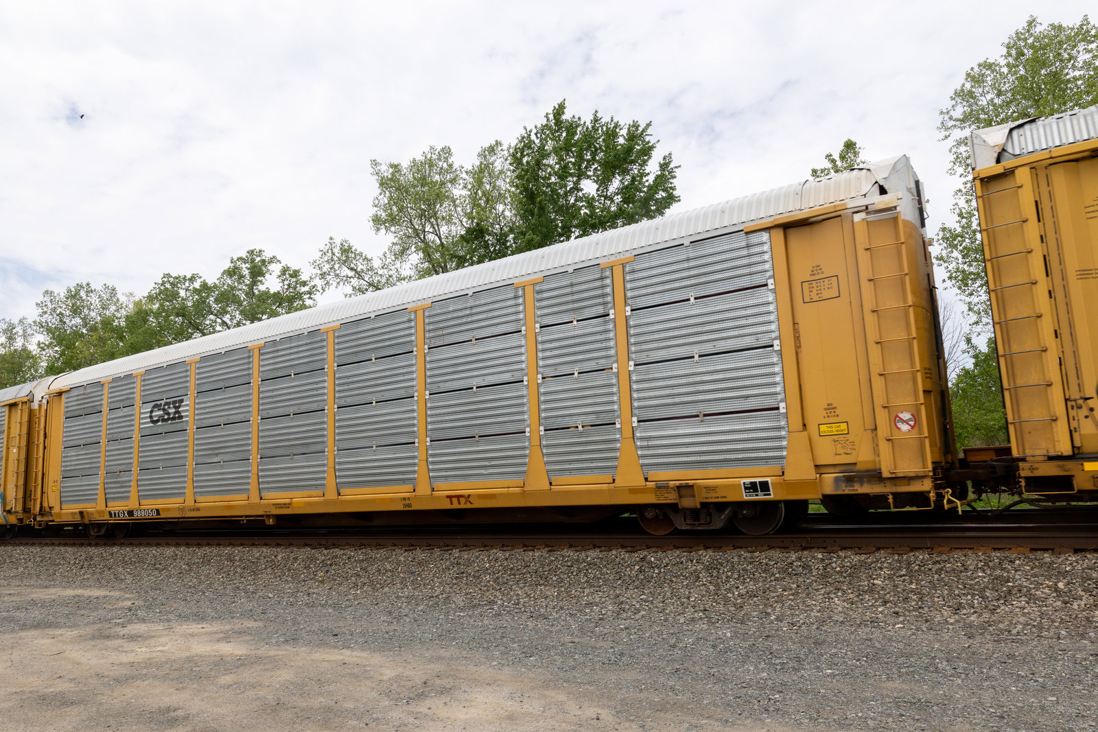 TTGX 988050