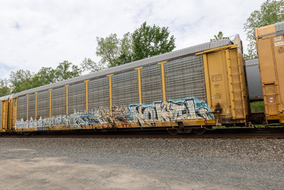 TTGX 989029