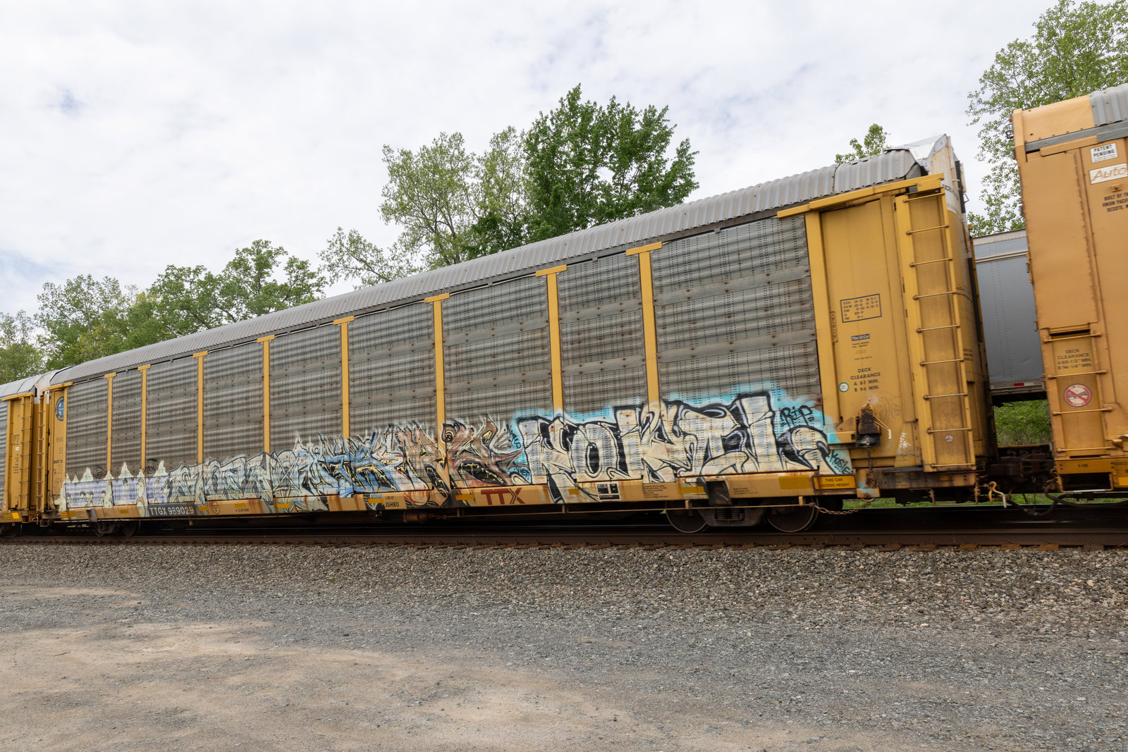 TTGX 989029