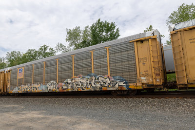 TTGX 996842