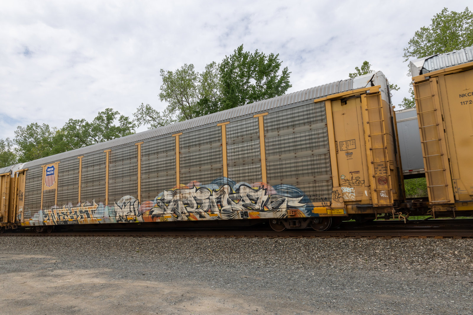 TTGX 996842