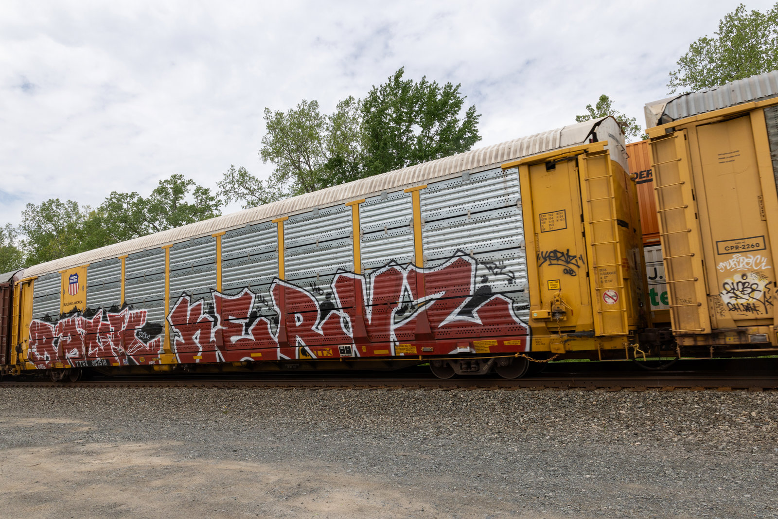 TTGX 962519