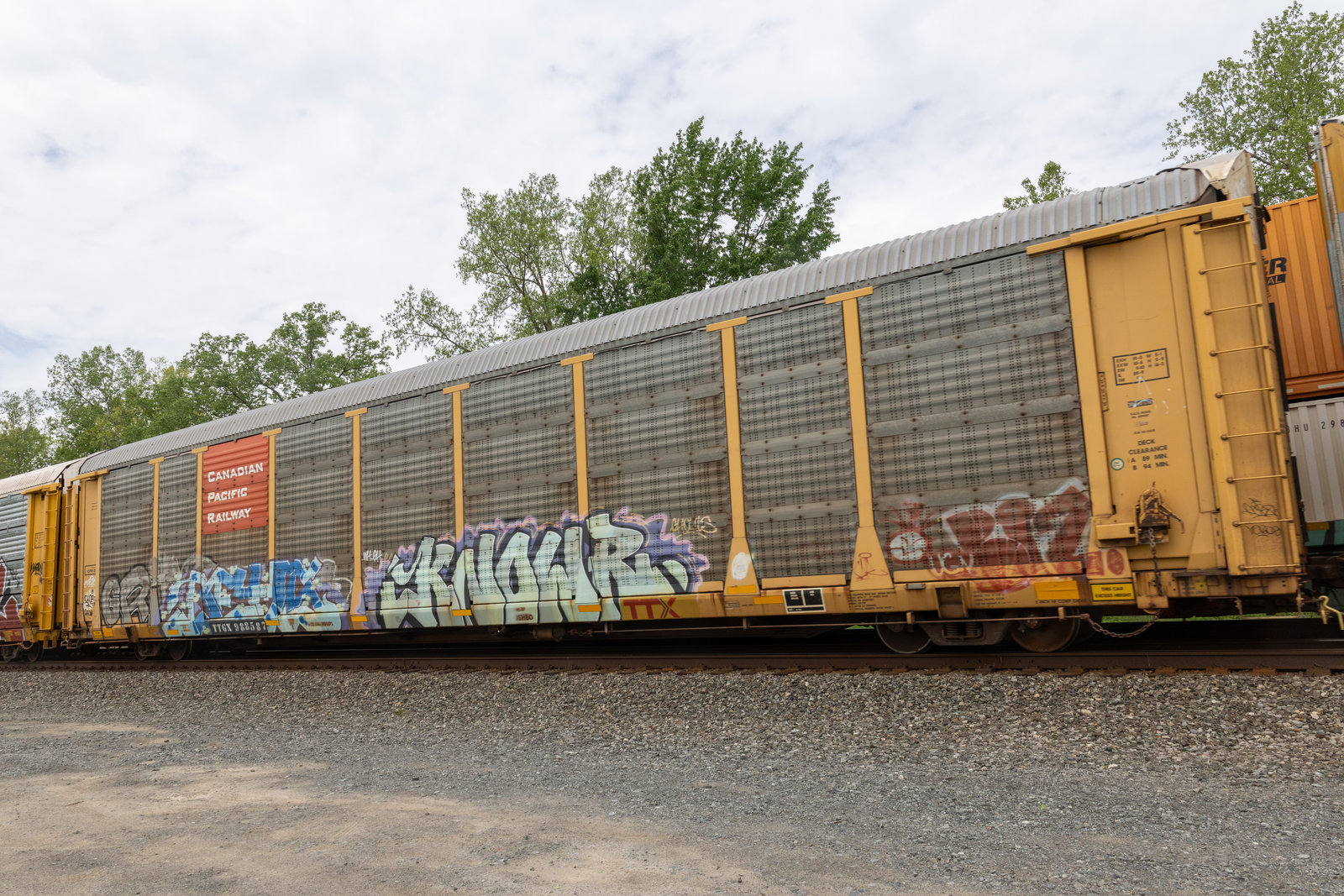 TTGX 988587