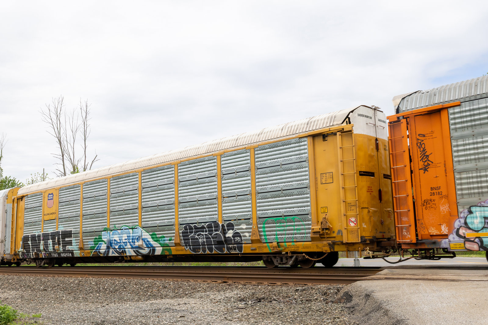 TTGX 992424