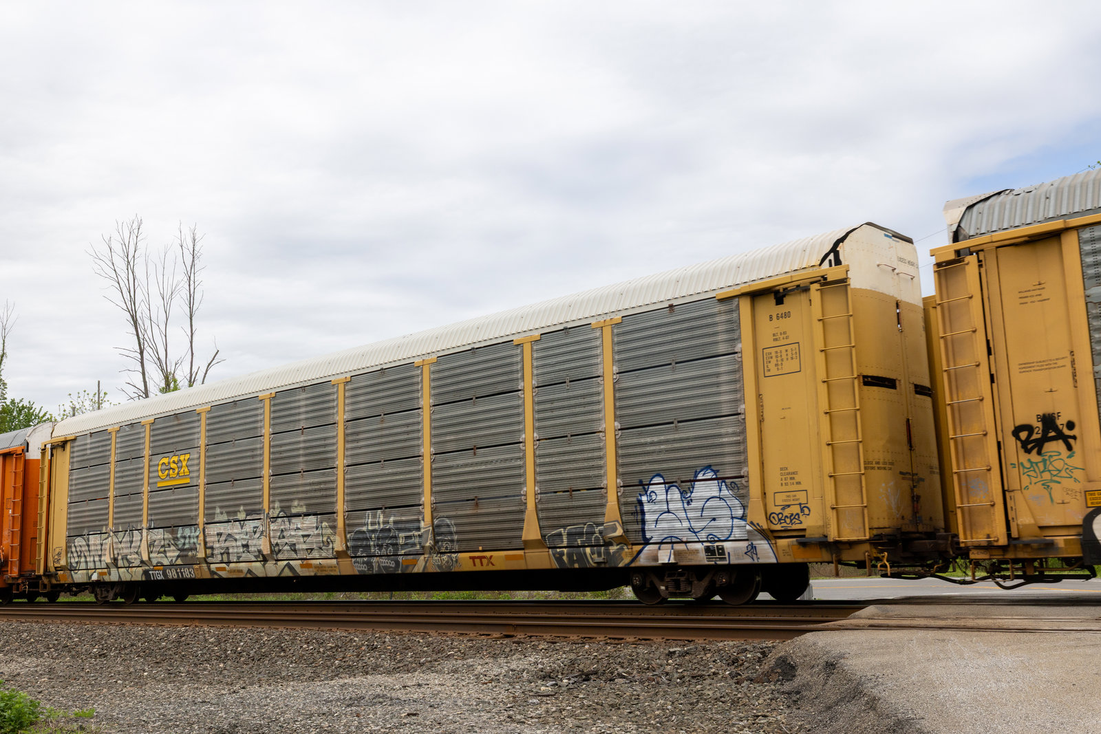 TTGX 981183