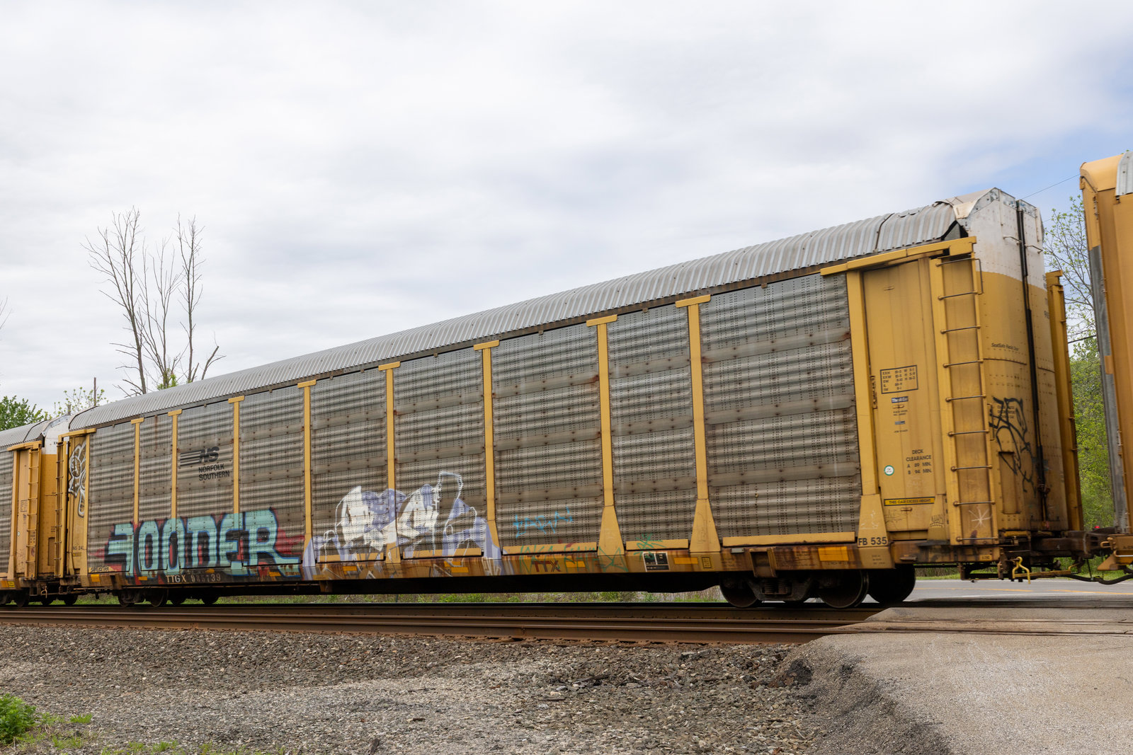 TTGX 985739