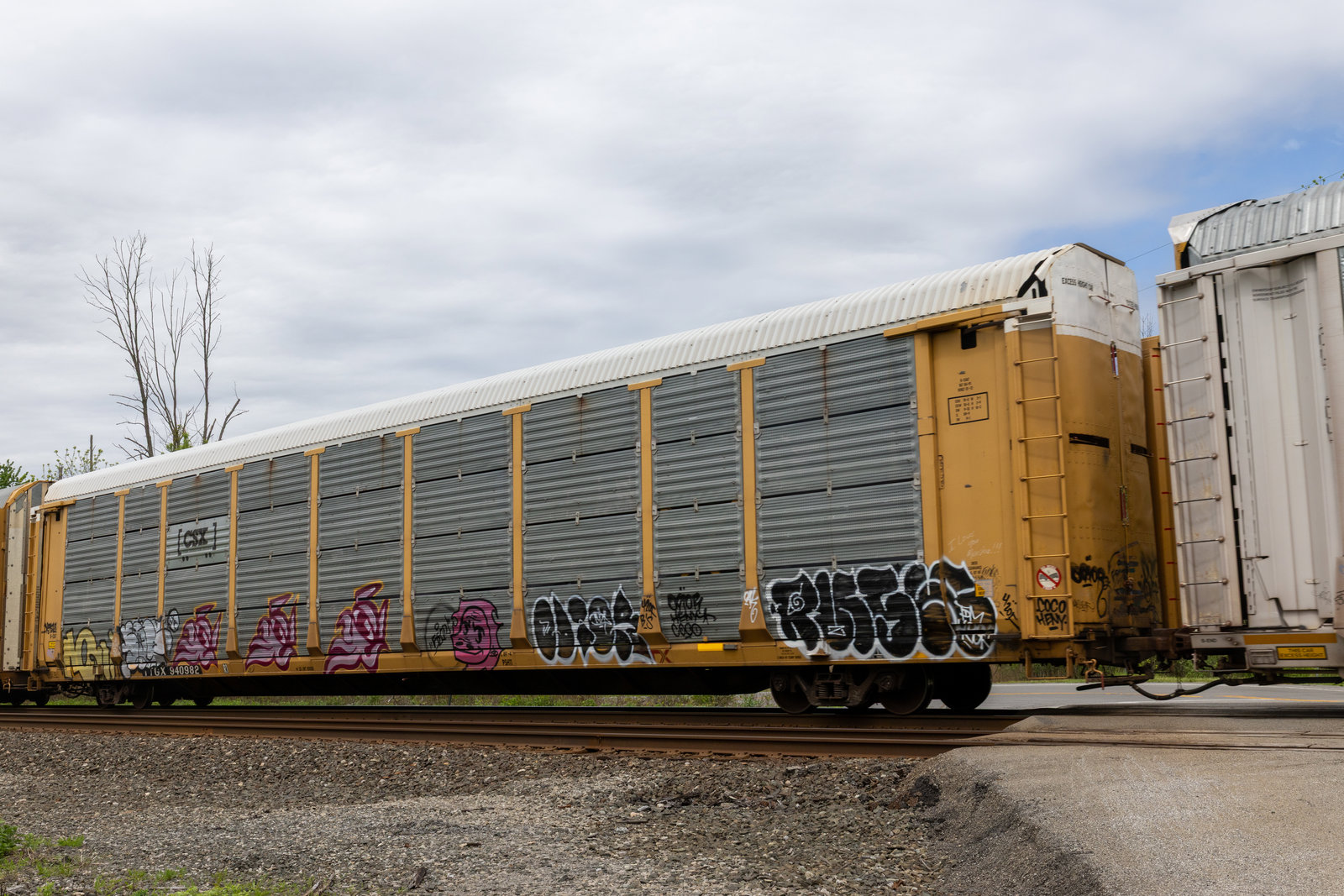 TTGX 940982