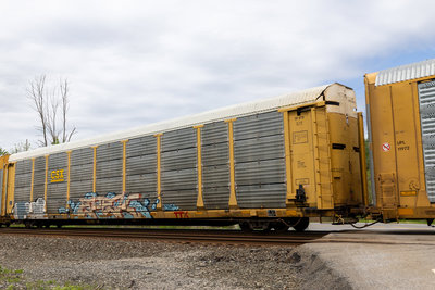 TTGX 964542