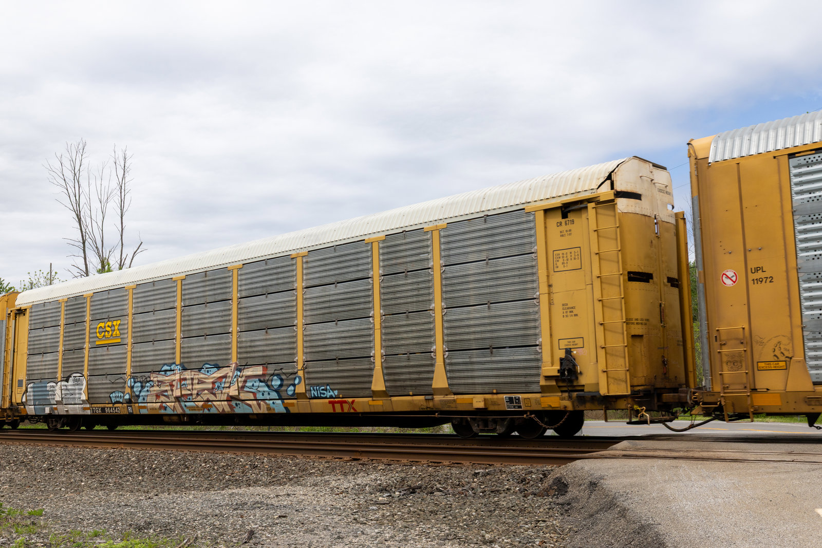 TTGX 964542