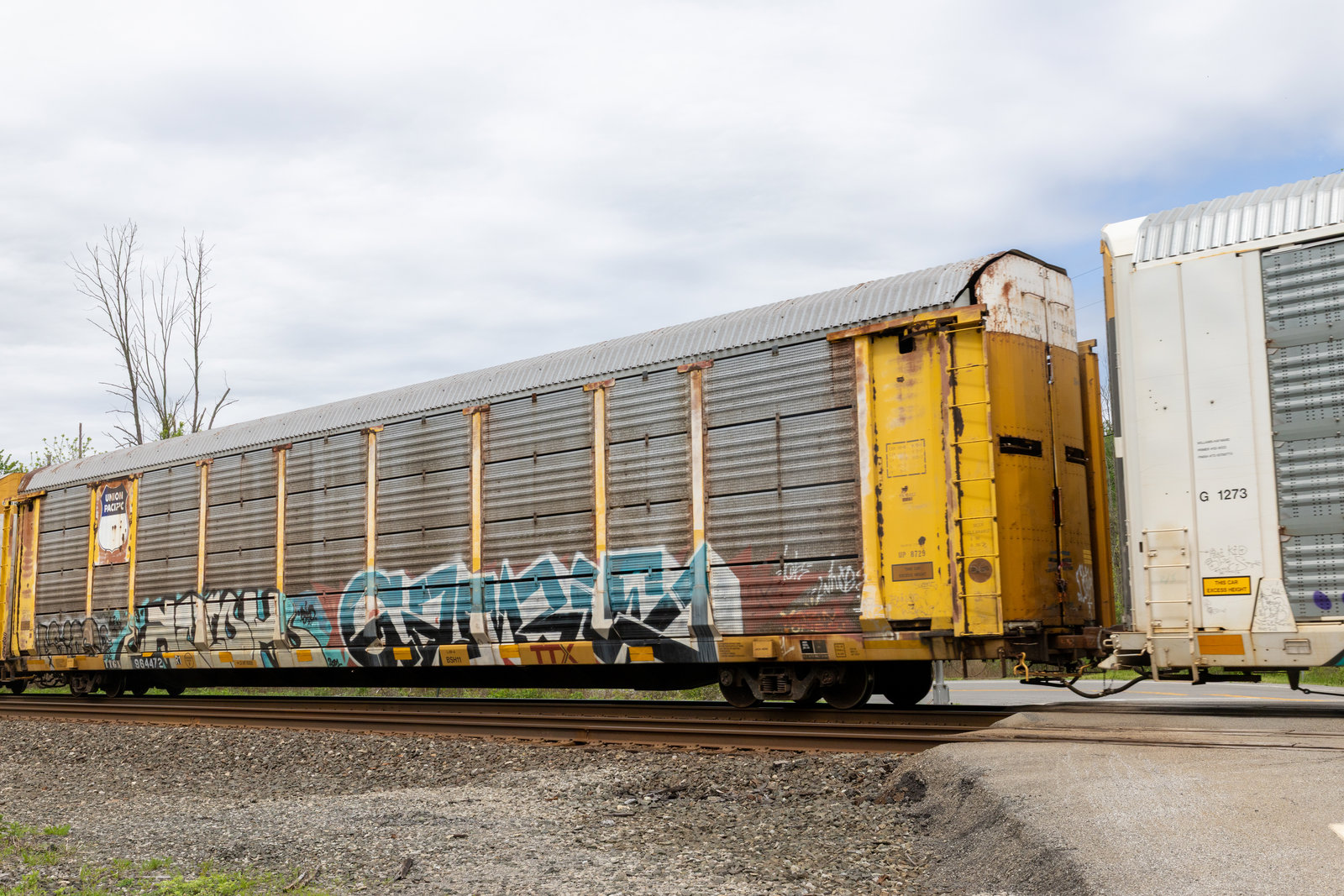 TTGX 964472