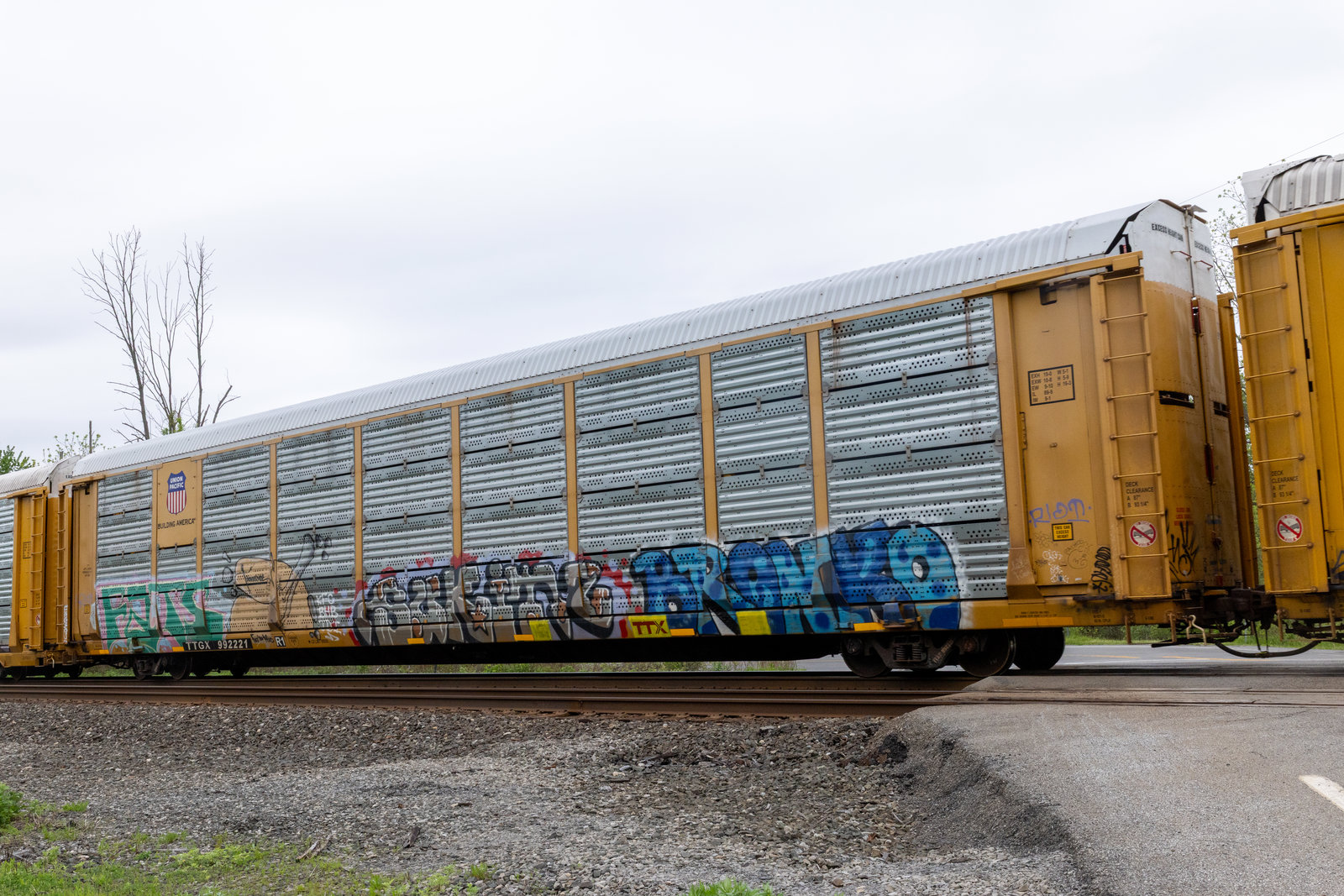 TTGX 992221