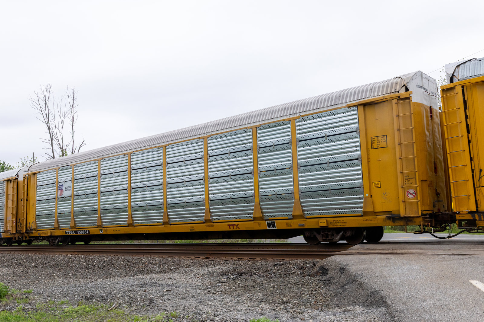 TTGX 159034